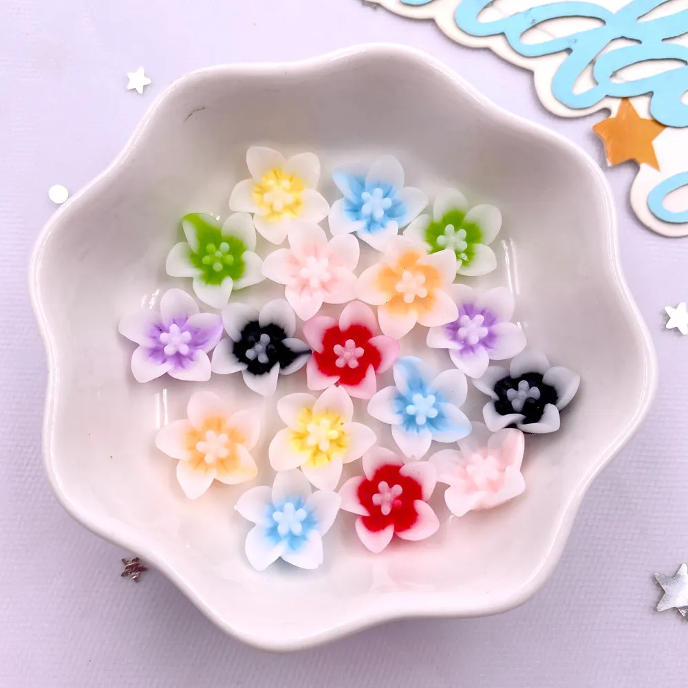 Paradise Jewelry & Watches Dolphin Mall - 50 pz resina 13mm colorato 3D