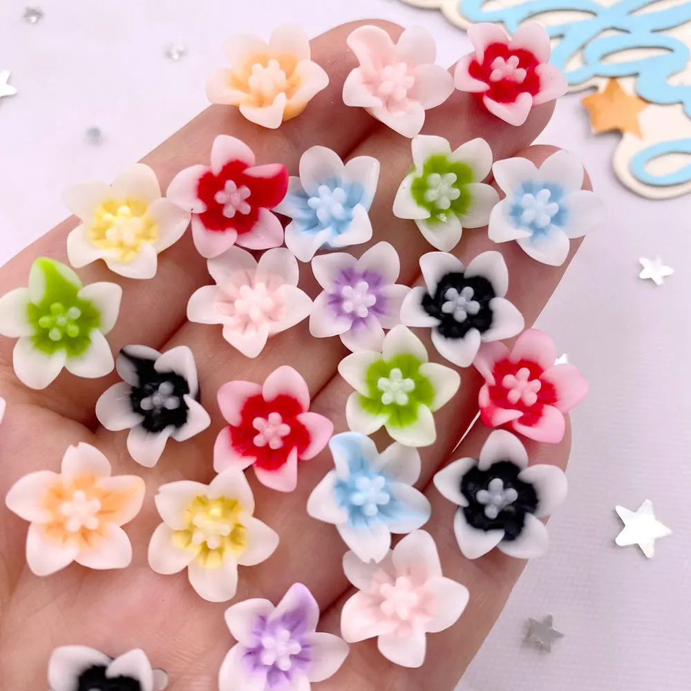 50 pz resina 13mm colorato 3D  - Paradise Jewelry & Watches Dolphin Mall recensione e prezzo