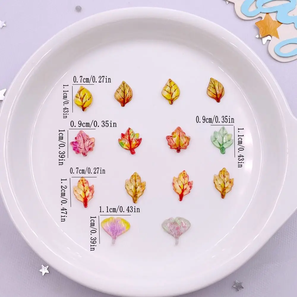50 pz Misto Resina Mini Crista - Paradise Jewelry & Watches Dolphin Mall recensione e prezzo